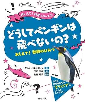 619Xp+wNPvL._AC_UF350,